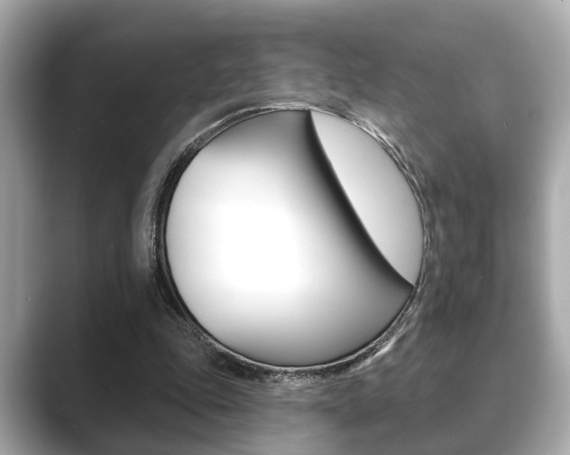 X0000089680343200706210818