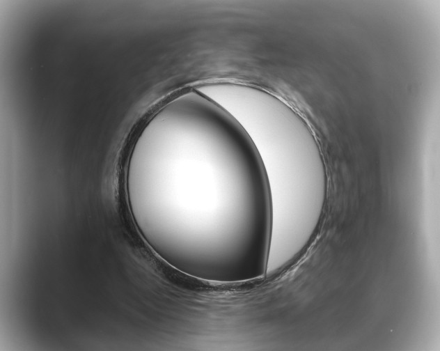 X0000089680344200706210818