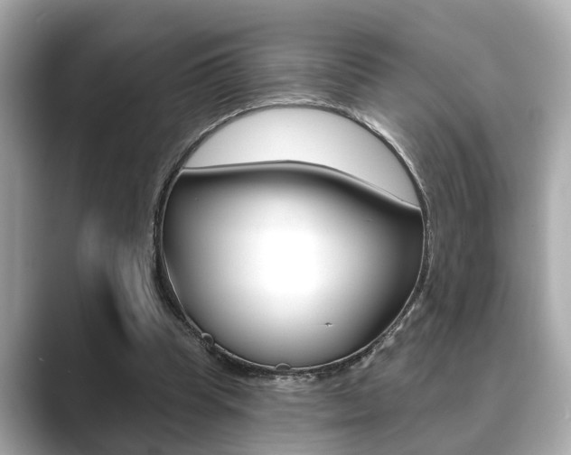 X0000089680345200706210818
