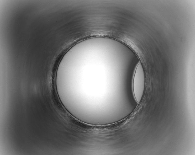 X0000089680346200706210818