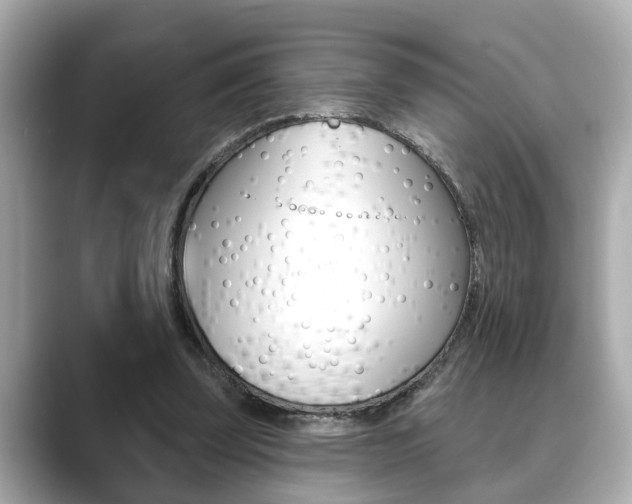 X0000089680347200706210818