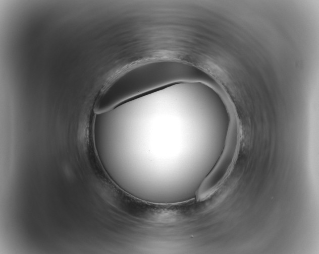 X0000089680348200706210818