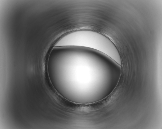 X0000089680350200706210818