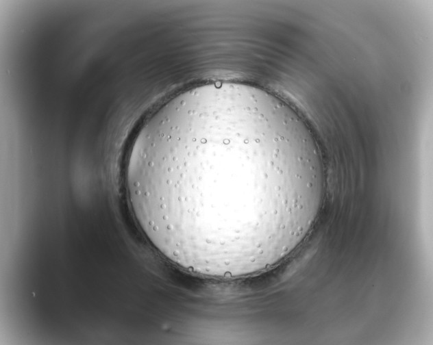 X0000089680351200706210818