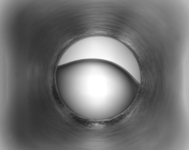 X0000089680352200706210818