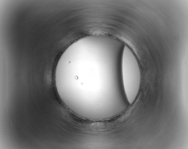 X0000089680353200706210818