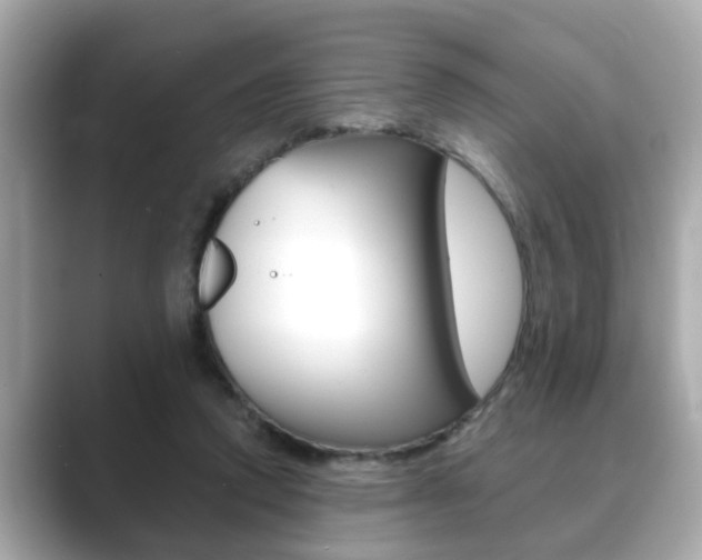 X0000089680354200706210818