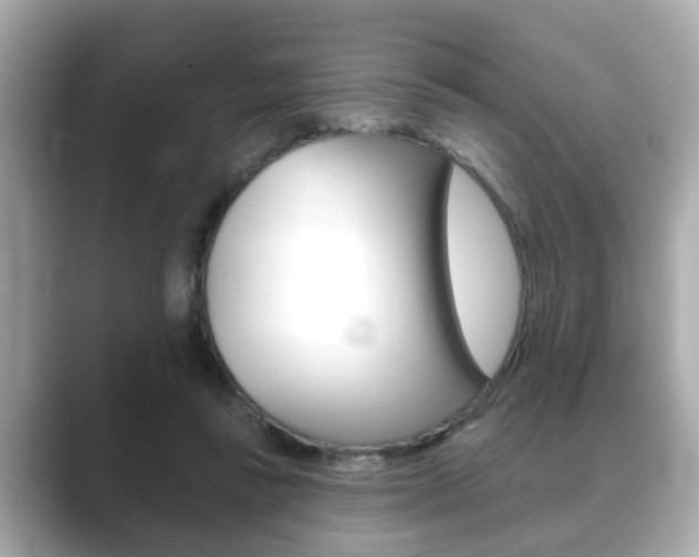 X0000089680355200706210818