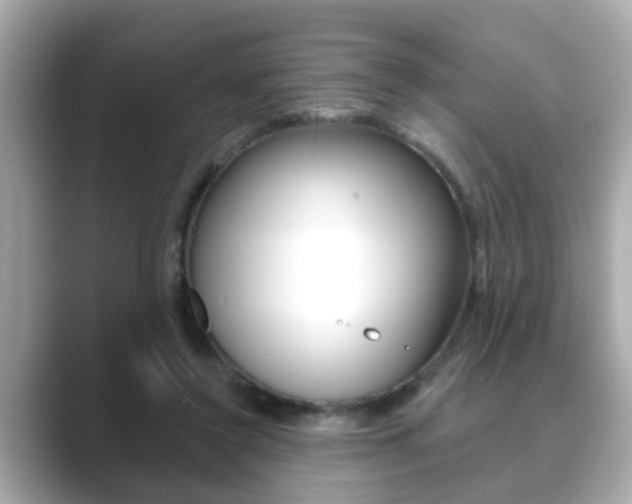 X0000089680356200706210818