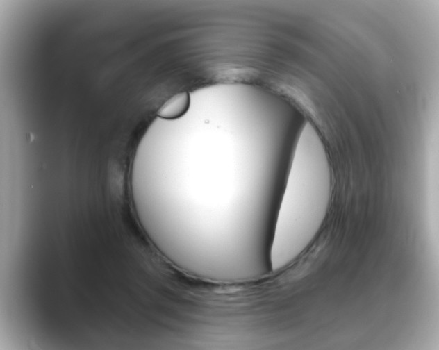 X0000089680357200706210818