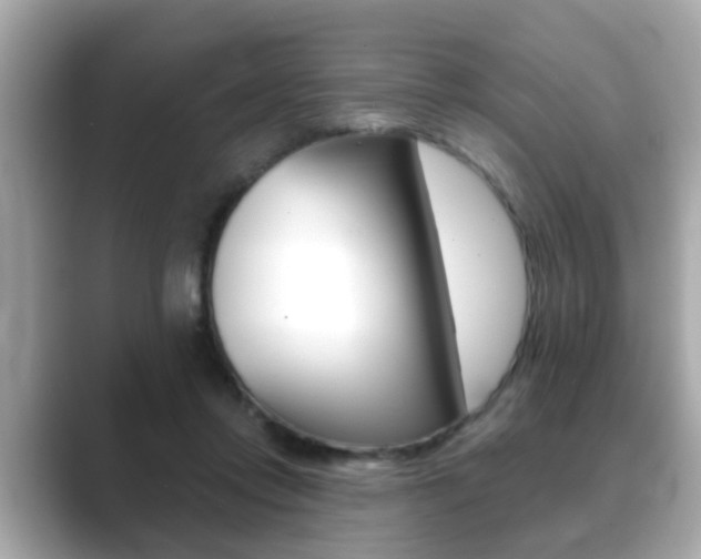 X0000089680358200706210818