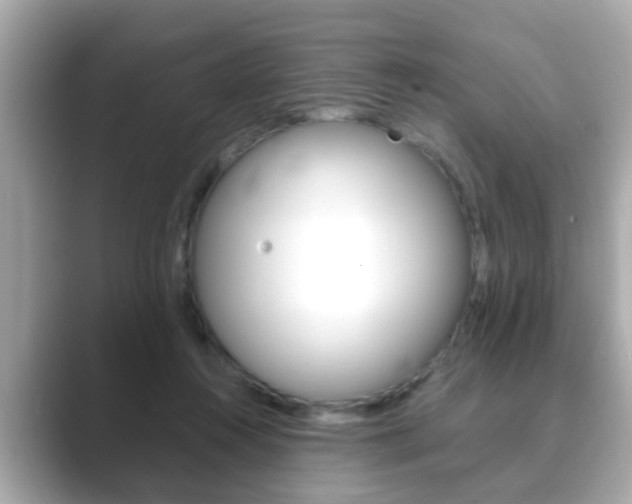 X0000089680360200706210819