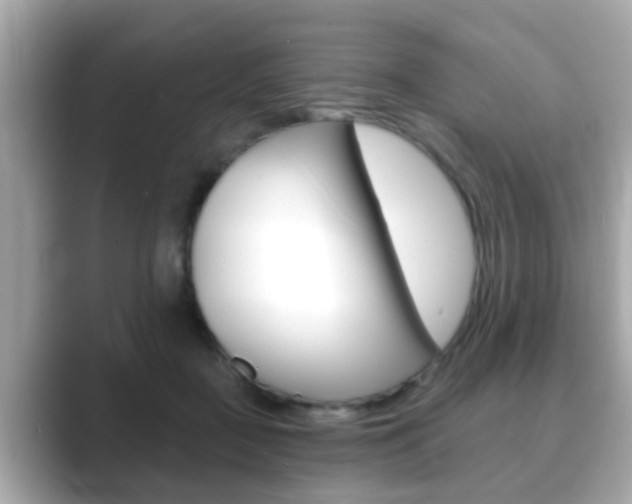 X0000089680363200706210819
