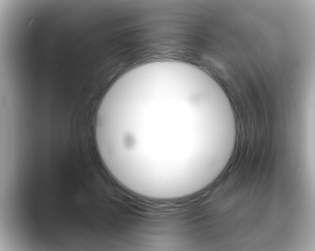 X0000089680364200706210819