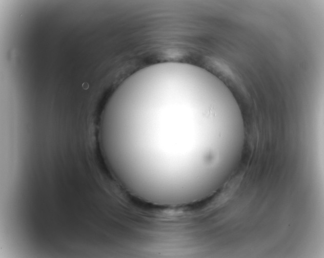 X0000089680366200706210819