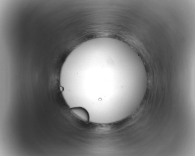 X0000089680369200706210819