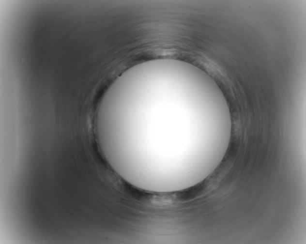 X0000089680373200706210819