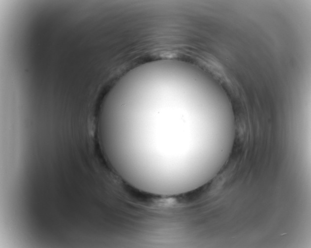 X0000089680374200706210819