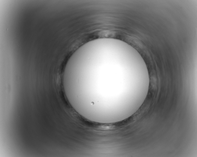 X0000089680375200706210819