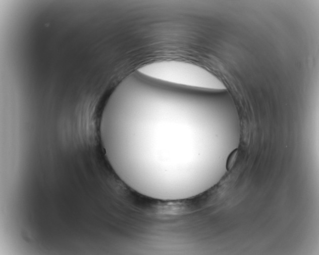 X0000089680378200706210819