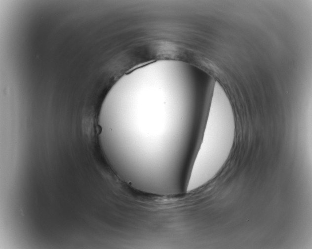 X0000089680379200706210819