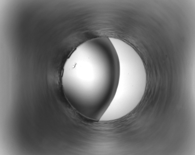X0000089680380200706210819