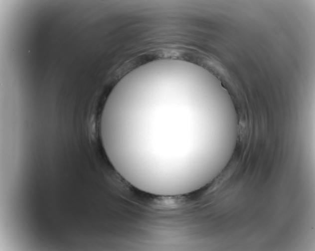 X0000089680381200706210819