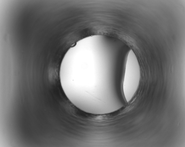 X0000089680382200706210819