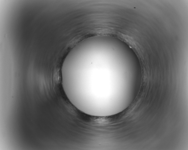 X0000089680383200706210819