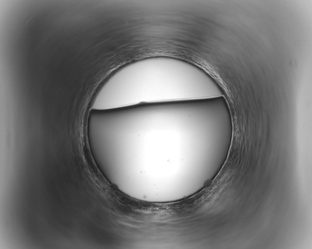 X0000089680386200706210818