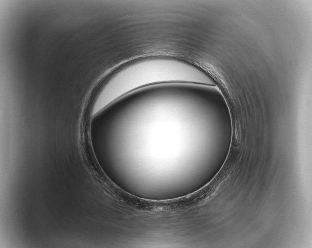 X0000089680388200706210818