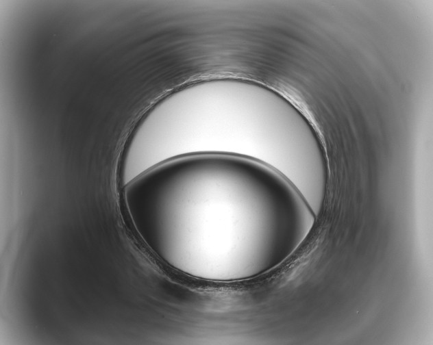 X0000089680389200706210818