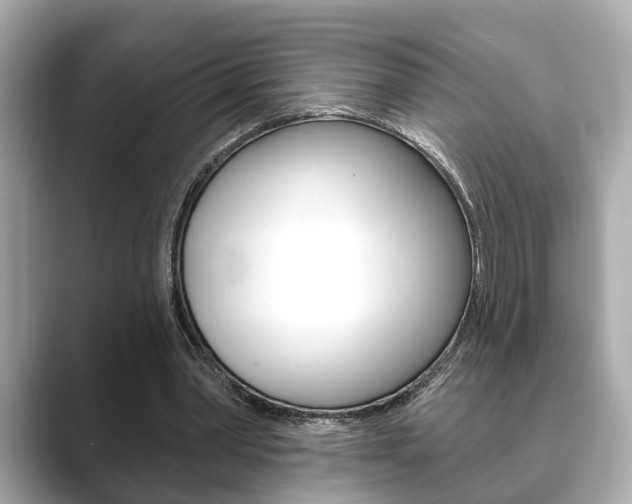 X0000089680390200706210818