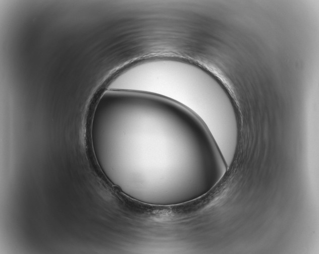 X0000089680391200706210818