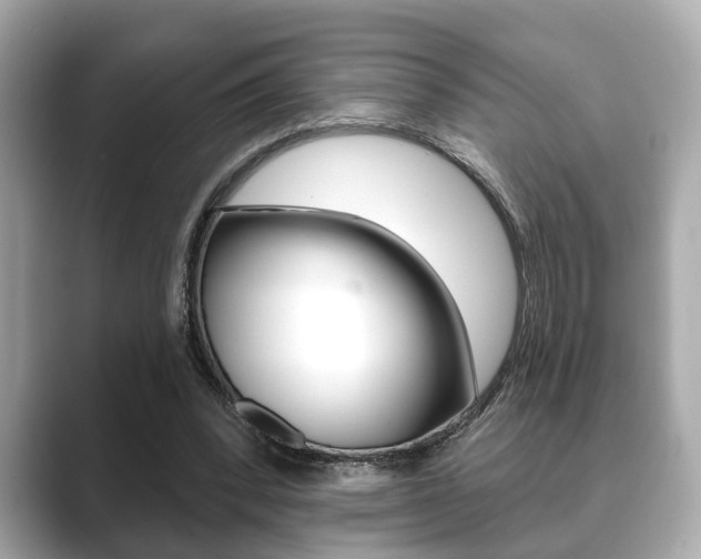 X0000089680392200706210818