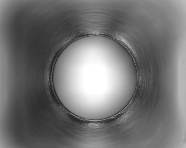X0000089680394200706210818