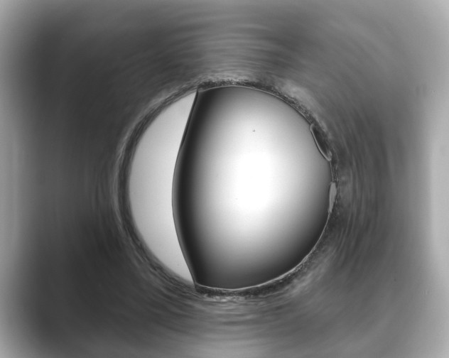 X0000089680395200706210818