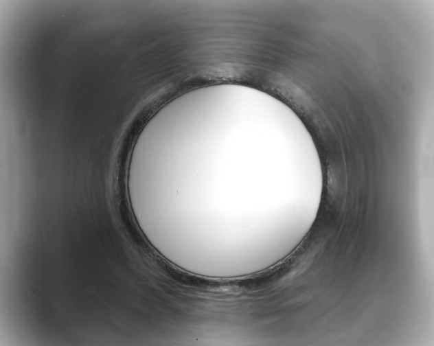 X0000089680396200706210818