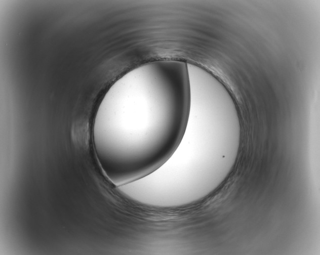 X0000089680397200706210818