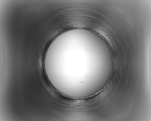 X0000089680398200706210818