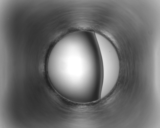 X0000089680399200706210818