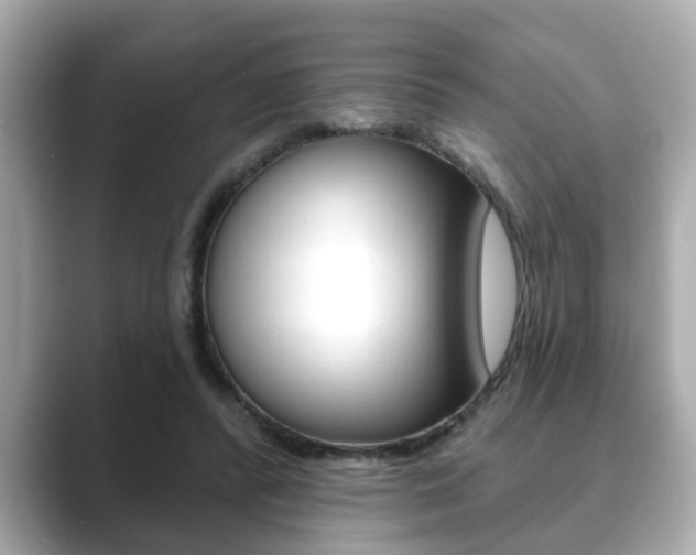 X0000089680400200706210818