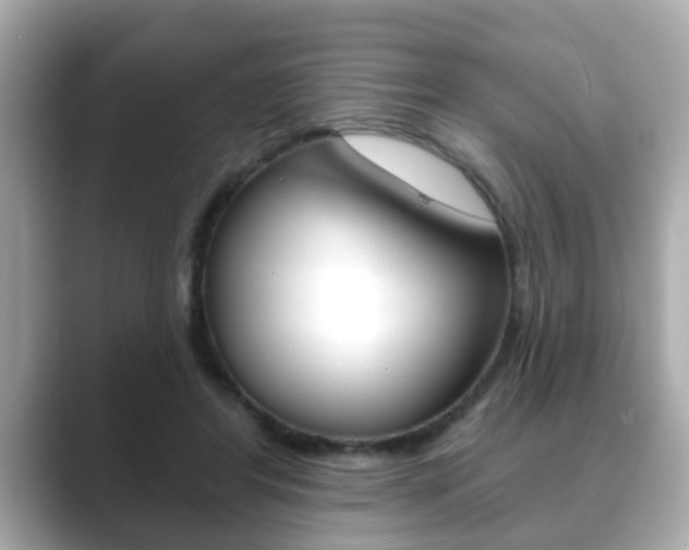 X0000089680404200706210818