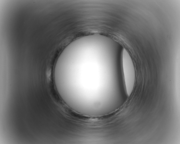 X0000089680406200706210818
