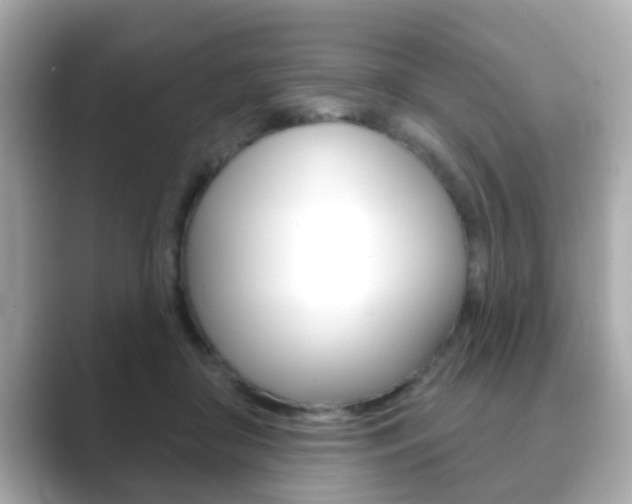 X0000089680410200706210818