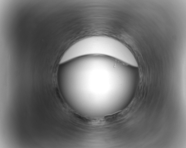 X0000089680415200706210818