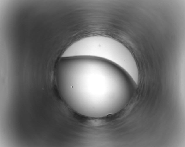 X0000089680417200706210818