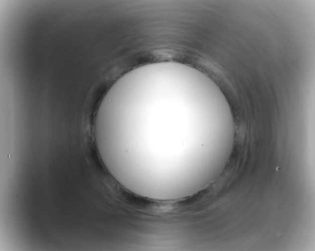 X0000089680418200706210818