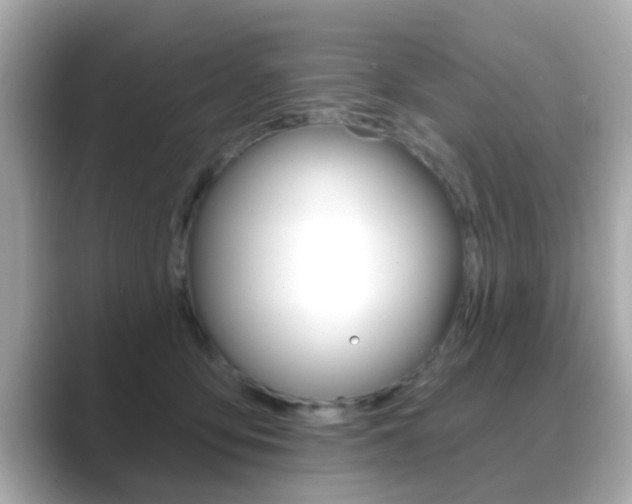X0000089680419200706210818