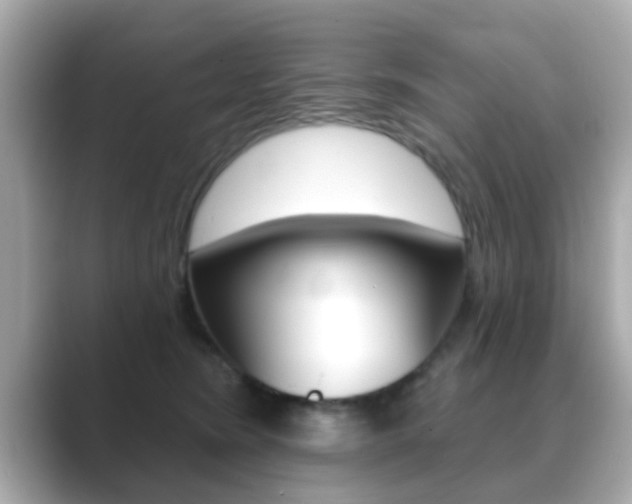 X0000089680420200706210818